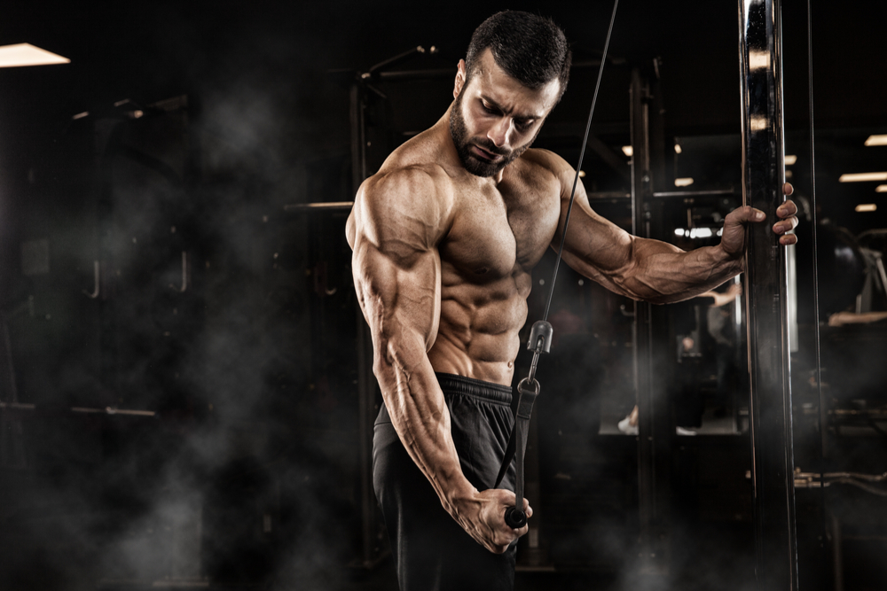 Using Anabolic Androgen Steroids For Muscular Strength