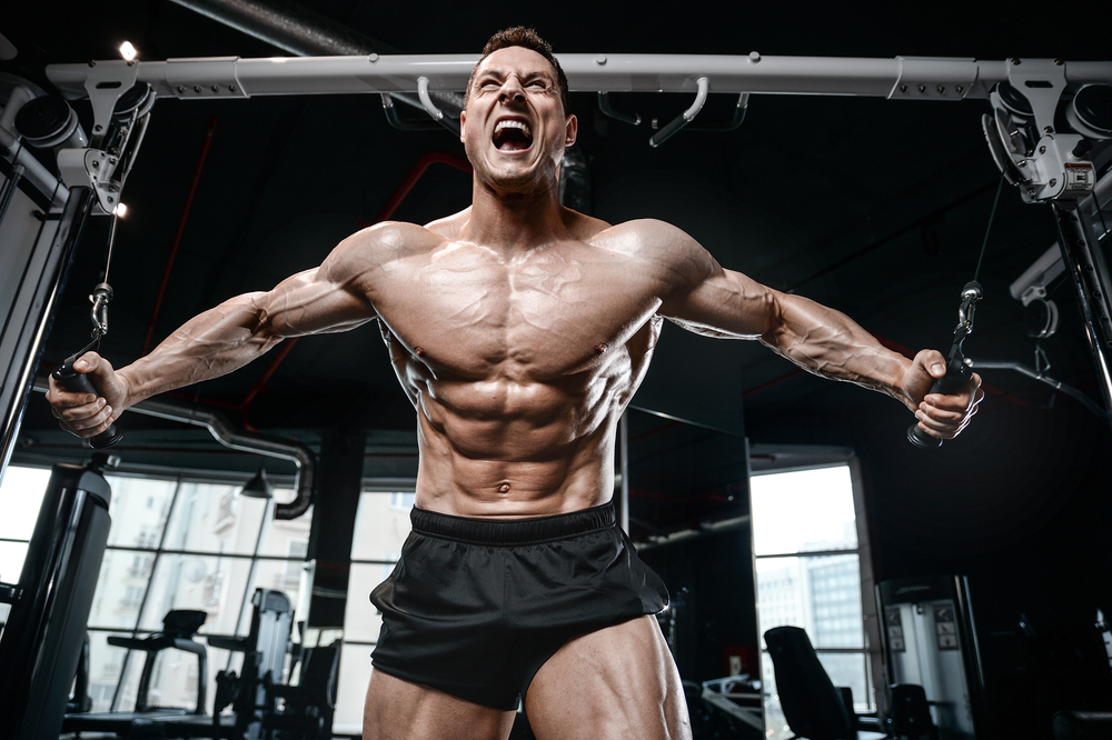 Are Fat Burning Steroids Worth the Try?