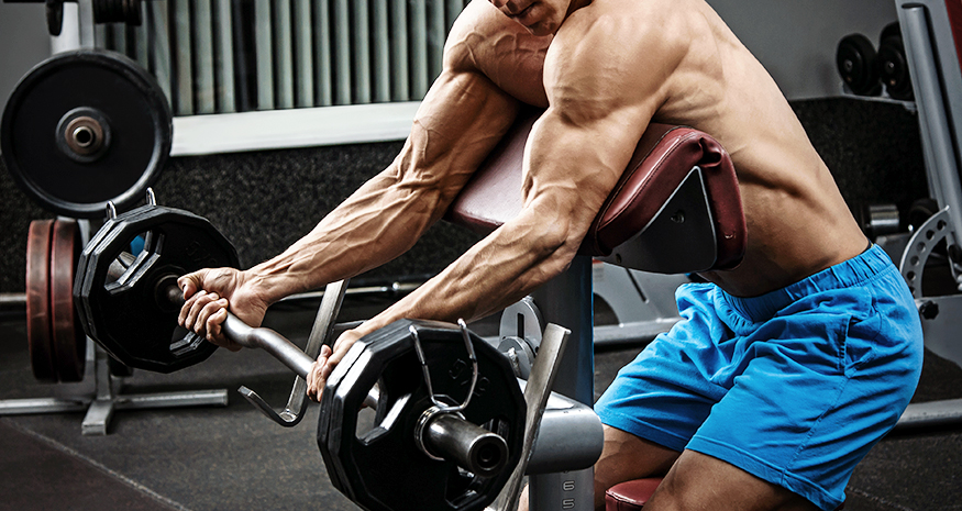 The Ultimate Guide to Developing Muscular Arms in the Gym