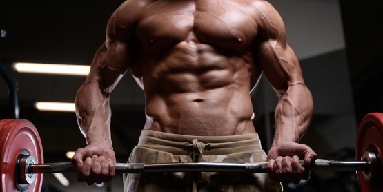 Muscular guy doing bicep curls at the gym